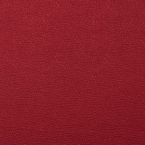 Shiraz Bordeaux
